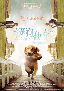 肉蒲团之玉女心经